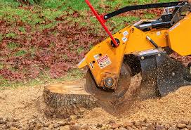 Best Firewood Processing and Delivery  in Sussex, NJ